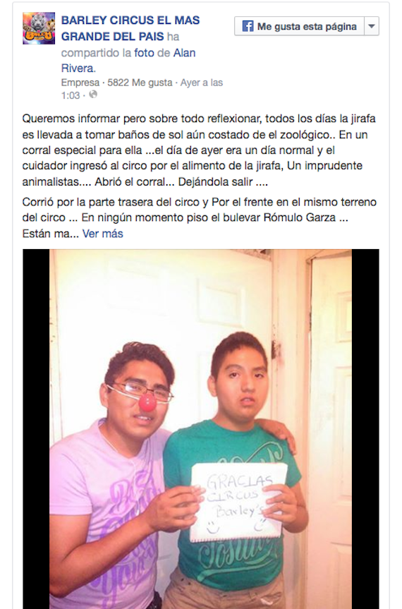 A través de su cuenta en Facebook el circo escribió un breve comunicado en el que explica las causas por las que la jirafa se escapó. Foto: Especial.
