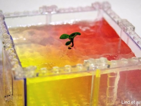 Las piezas de lego representan una alternativa de bajo costo a los investigadores. Foto: ISU