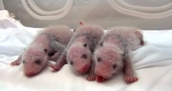 Captura de pantalla 2014-08-12 a la(s) 10.44.53