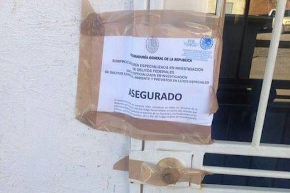 Oficinas de la minera responsable del derrame en los ríos de Sonora son aseguradas por la PGR. Foto: Twitter.