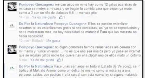 El joven calificó a los felinos como una plaga. Foto: Especial.