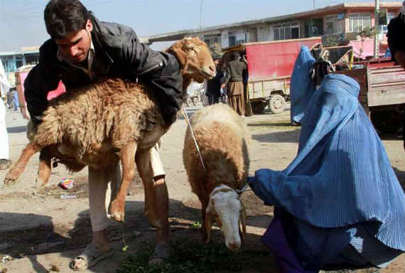 Unos hombres sostienen una cabra antes de sacrificarla. Foto: EFE/Archivo