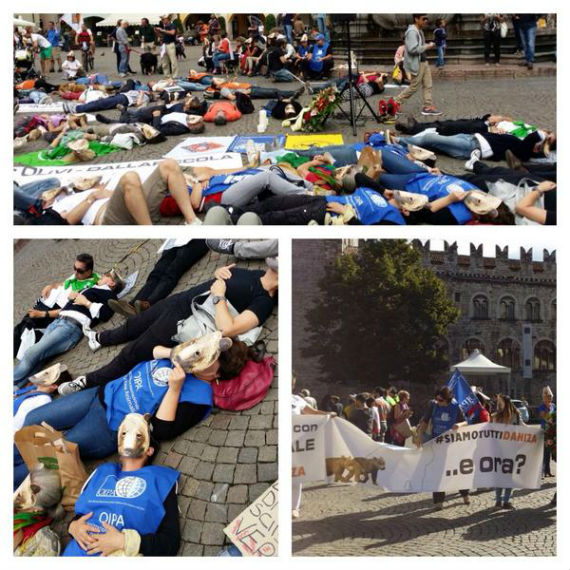 En Italia, no sólo los activistas y defensores de derechos de los animales se movilizaron, también la opinión pública se volcó contra las autoridades. Foto: Twitter.