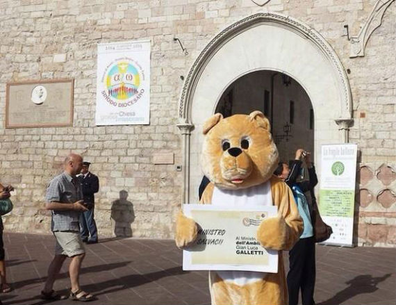 Expertos expresaron su preocupación por el asesinato de la mamá osa y el futuro de sus crías. Foto: Twitter.