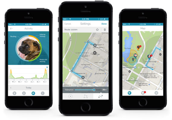 El geolocalizador fue ideado luego de que su creador extraviara a su mascota un par de veces. Foto: TICbeat