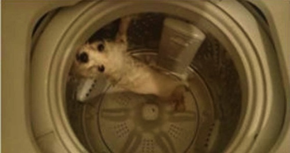 El sujeto publicó las imágenes en su cuenta de Facebook. Foto: Facebook