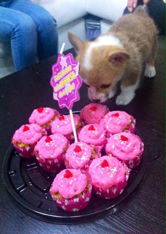 Los golosos 2. Foto: Facebook