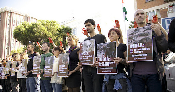 15463398879_dbd4f68c33_z