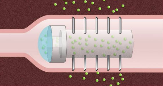 La cápsula tiene en su interior microagujas que no causan daño en los tejidos. Imagen: MIT