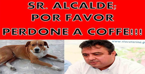 En redes sociales exigieron su liberación. Foto: Facebook EXPO GUAU y Amigos