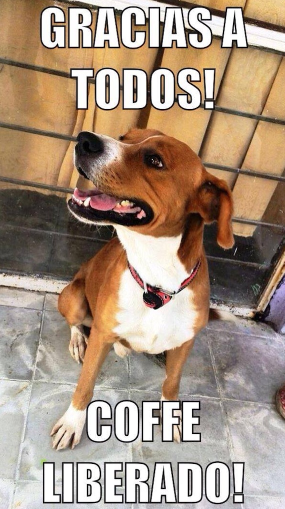 Foto: Facebook EXPO GUAU y Amigos