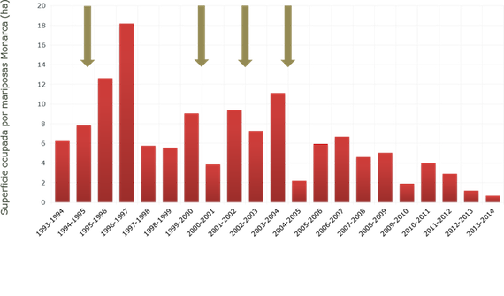 La población más baja de las mariposas Monarca en 20 años en los sitios de hibernación se registró en el invierno de 2013-2014, las flechas verdes indican eventos de mortalidad catastrófica debido a la combinación de nieve y lluvia. Gráfica y datos: WWF-México, Conanp y Conabio.