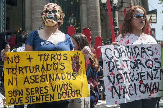 Un grupo de manifestantes exigió afuera de la Asamblea Legislativa del Distrito Federal la prohibición de la corridas de toros en la capital. Foto: Cuartoscuro