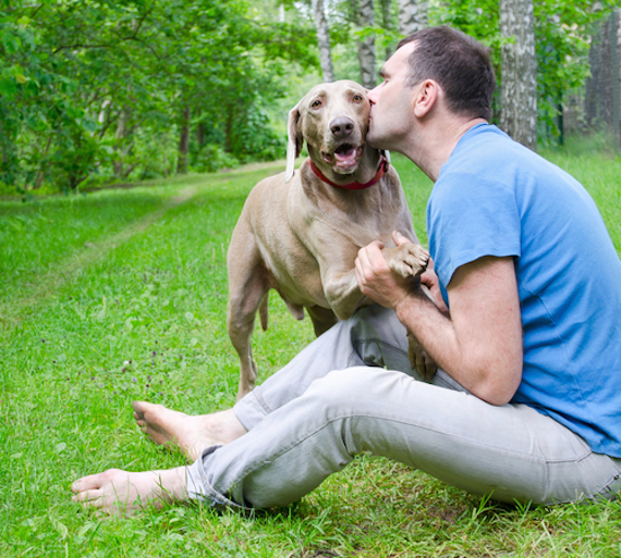 Cuando las mascotas son diagnosticadas con este mal, lo importante es pensar a futuro de forma que no afecte la calidad de vida de ellos. Foto: Shutterstock.