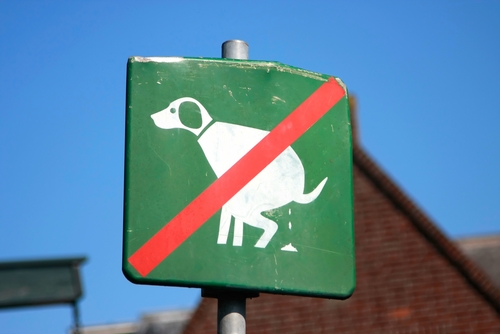 shutterstock_20832967