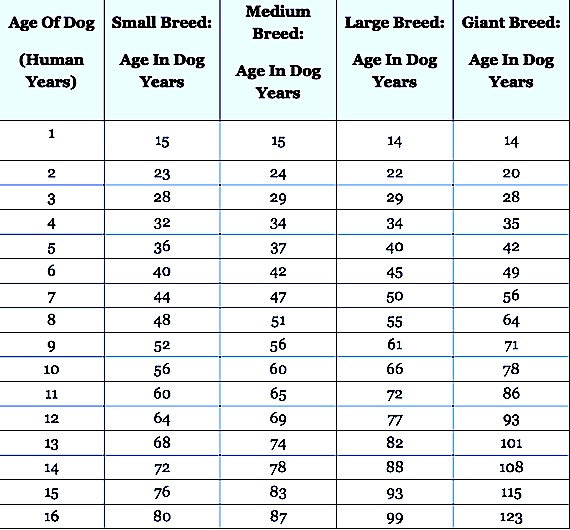 Tabla para comparar edades de perros, según sus tamaños. Imagen: Priceonomics.