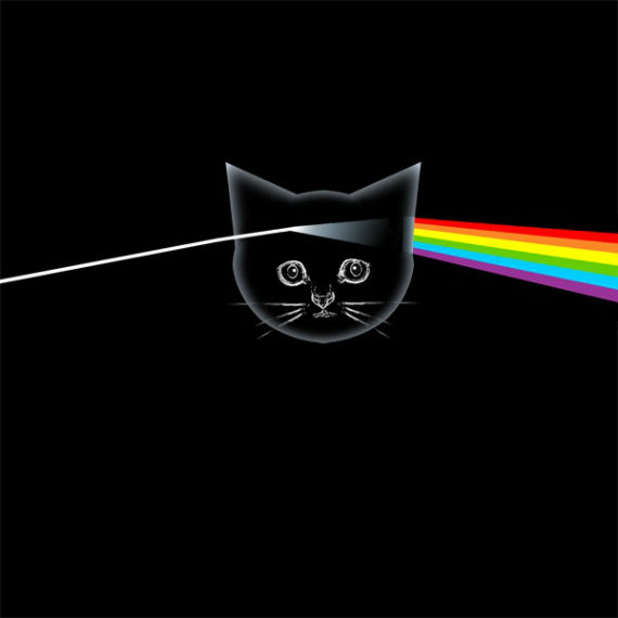Kitten Floyd - The Dark Side of the Meow. Foto: Kitten Covers