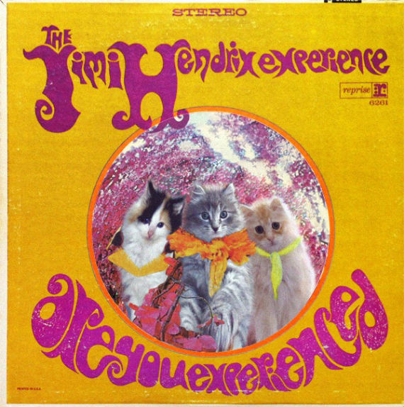 The Kitti Hendrix Catsperience. Foto: Kitten Covers