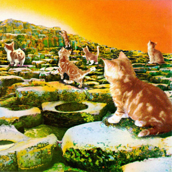 Led Kitten - Houses of the Meowy. Foto: The Kitten Covers