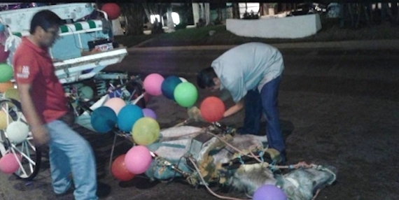 La ley estableció que se aplicará un año después de su publicación para buscar alternativas a los negocios o personas que dependan de actividades que involucren animales, sin embargo no ha sido publicado en el Diario Oficial del Gobierno Estatal por lo que está detenida toda sanción o denuncia. Foto: Especial.