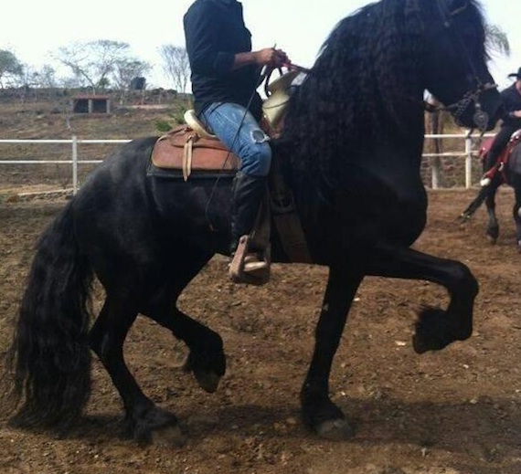 Foto: Twitter de @Rafantrx06