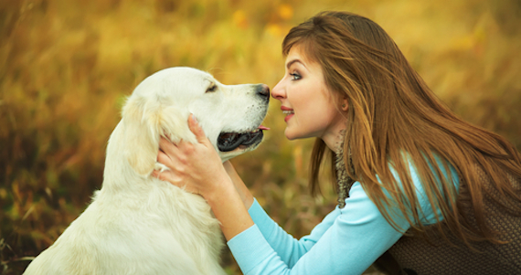 La pequeña molécula conocida como oxitocina crea y refuerza vículos de relación social entre los perros con otros animales y humanos. Foto: Shutterstock.