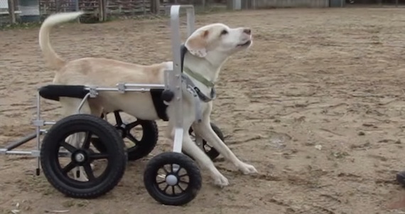 Captura de pantalla 2014-12-12 a la(s) 17.35.05