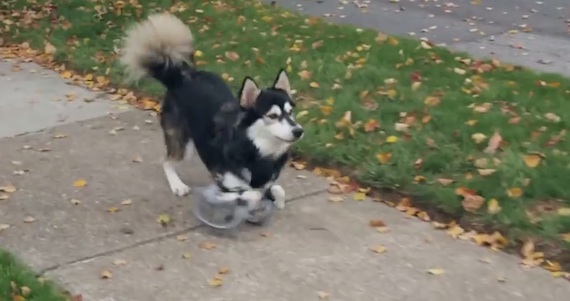 Captura de pantalla 2014-12-18 a la(s) 10.07.50