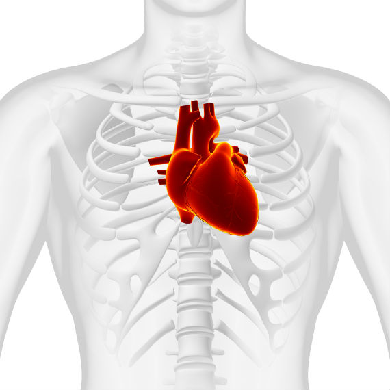 Los problemas cardiácos en México están ligados al sobrepeso, el tabaquismo, la diabetes y el alcoholismo, afirma la Conadic.Foto: Shutterstock