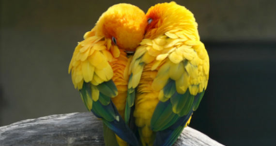 shutterstock_165710645