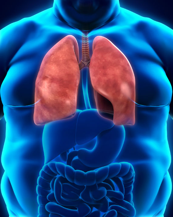 Imagen: Shutterstock