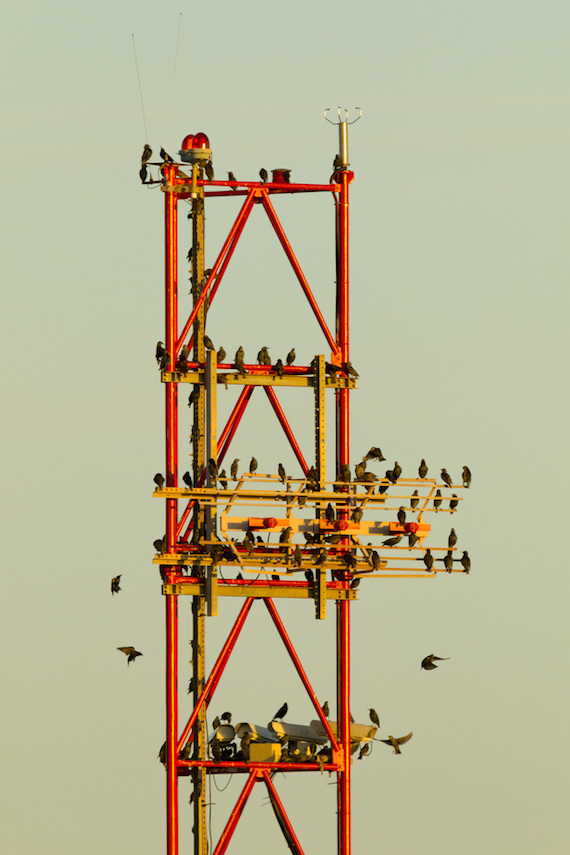 shutterstock_237287698