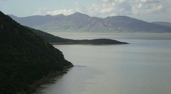 Organizaciones cívicas cooperan con el gobierno de Túnez y las organizaciones internacionales para mantener la rica biodiversidad de los parques nacionales. Foto: DW