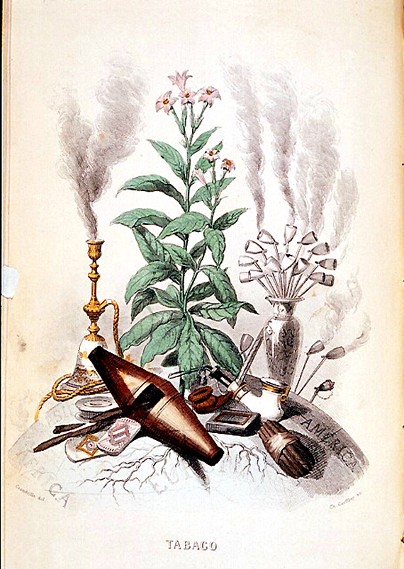 El sabor, aroma y propiedades del tabaco cautivaron a los europeos recién llegados al Nuevo Mundo.