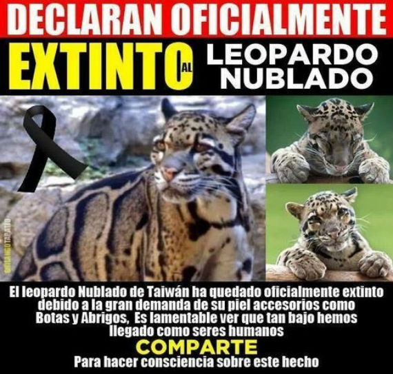 Noticias fraudulentas o engañosas, ahora serán publicadas con una advertencia puesta por los mismos usuarios. Foto: Facebook