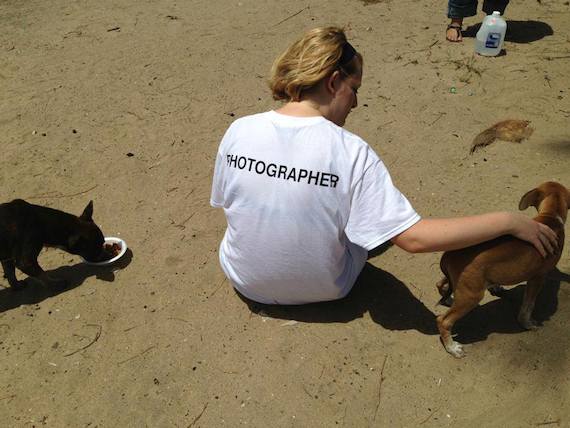 La fotógrafa relató al presentar esta serie que algunos perros están en completo estado feral, otros demasiado asustados y algunos en estado de shock. Pero también observó perros que se organizaban y sobrevivían por sí solos en la naturaleza. Foto: Striking Paws.