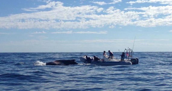 Captura de pantalla 2015-01-13 a la(s) 17.06.54