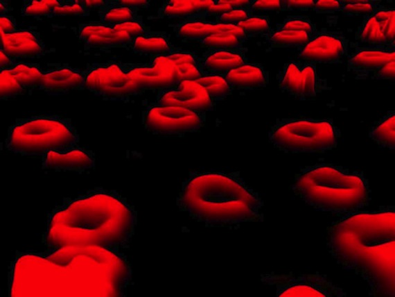 Foto: Wikimedia Commons