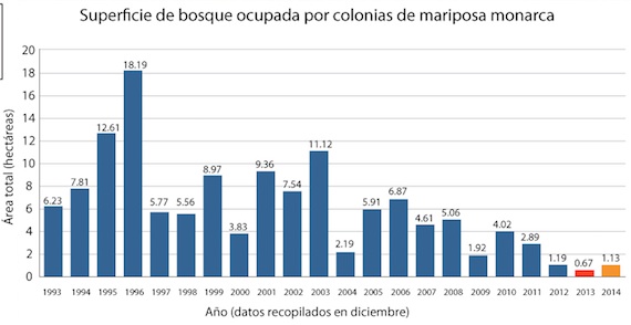 La gráfica demuestra las cifras del territorio ocupado por la mariposa monarca en México fue el segundo número más bajo después de la temporada pasada. Gráfica: WWF.