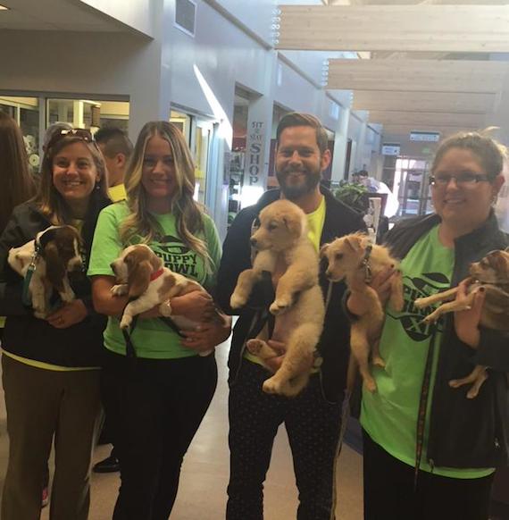 La idea de la campaña era exhortar a que las personas adoptaran a los millones de perros que están en los refugios de Estados Unidos y que de ellos, 2.7 millones tienen que ser sacrificados cada año, según la organización defensora de derechos de los animales Humane Society de Estados Unidos. Foto: Twitter