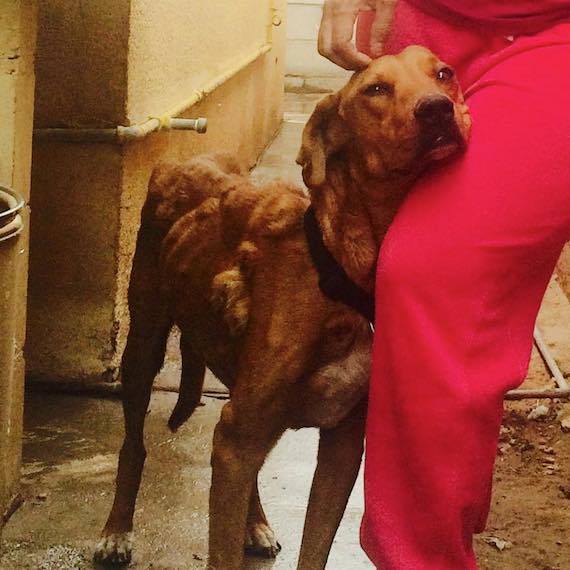 10426792_10155038167560858_1062690372638591704_n