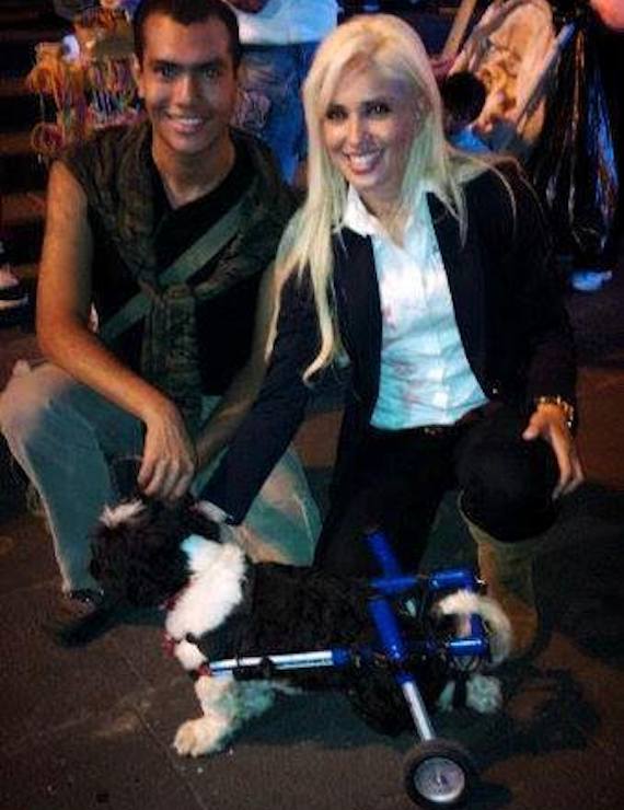 Regalemos un Paraizoo trabaja junto con otras asociaciones animalistas del estado para mejorar las condiciones de los animales en Veracruz. En la foto está Rafael Bravo junto a Gabriela Castro, del Comité del Bienestar Animal (Codeba).