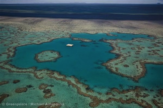 La construcción de nuevas infraestructuras portuarias equivaldría al dragado de 51 millones de metros cúbicos de suelo oceánico. Foto: Greenpeace