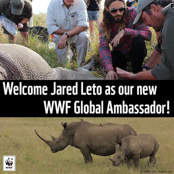 Jared Leto se unirá a la lucha contra la caza furtiva de animales en peligro de extinción en África y Asia Foto: WWF