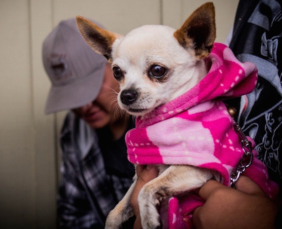 Captura de pantalla 2015-02-09 a la(s) 16.42
