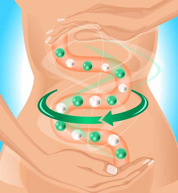 Imagen: Shutterstock