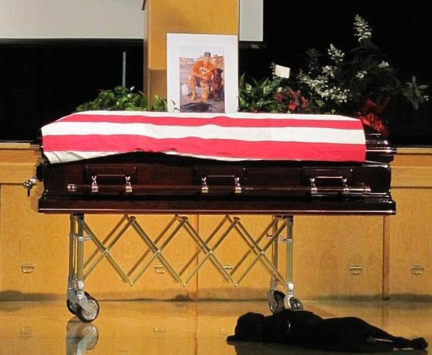 La historia del labrador Hawkeye también es sobre la lealtad que sintió por su amigo humano que fue abatido en Afganistán en 2011 y que permaneció a su lado durante el funeral del soldado de Estados Unidos. Foto: Facebook.