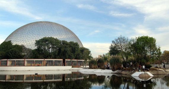 El aviario abrió sus puertas en 1991 cuatro años después de ser registrado como Unidad de Manejo Ambiental (UMA). Foto: Comité de Defensa Parque Ecológico y el Aviario de Puebla. Foto: Especial.