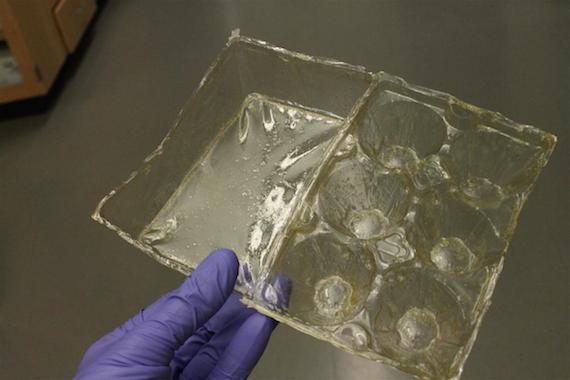 Esta fabricación de quitosana ofrece un nuevo camino para la producción a larga escala de componentes compostables con formas complejas. Foto: Universidad de Tecnología y Diseño de Singapur. 