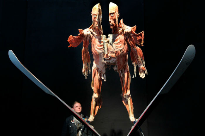 La fragilidad y complejidad del cuerpo humano en una exhibición no exenta de polémica Foto: Koerperwelten Museum